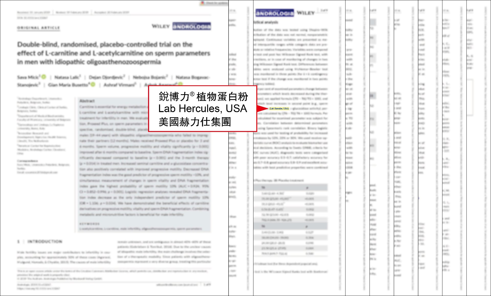 國際期刊論文